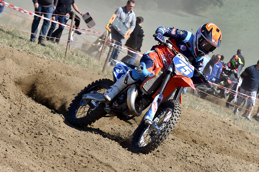 wardin-ampl-ligot-tom