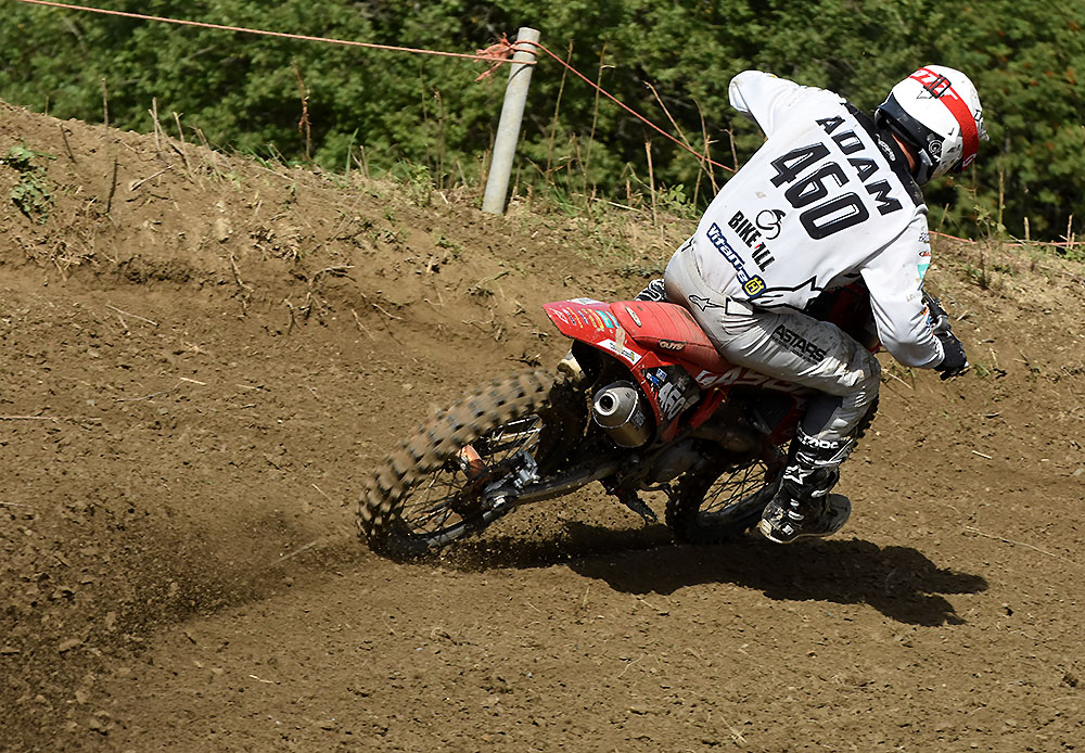 bertrix-ampl-adam-lucas